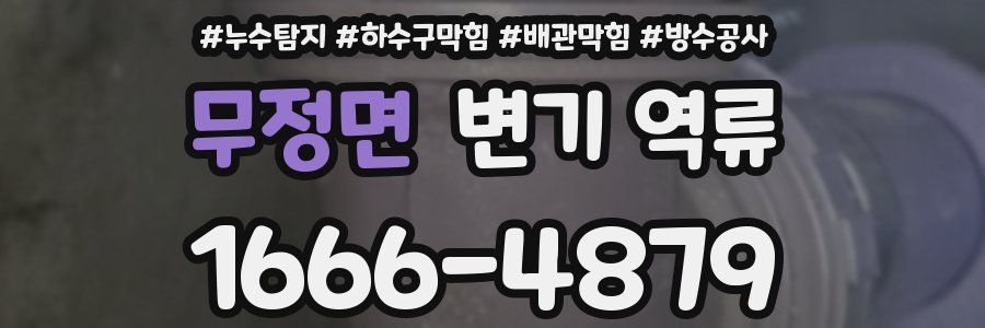 무정면 변기 역류