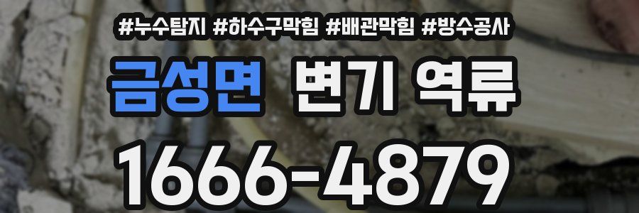 금성면 변기 역류