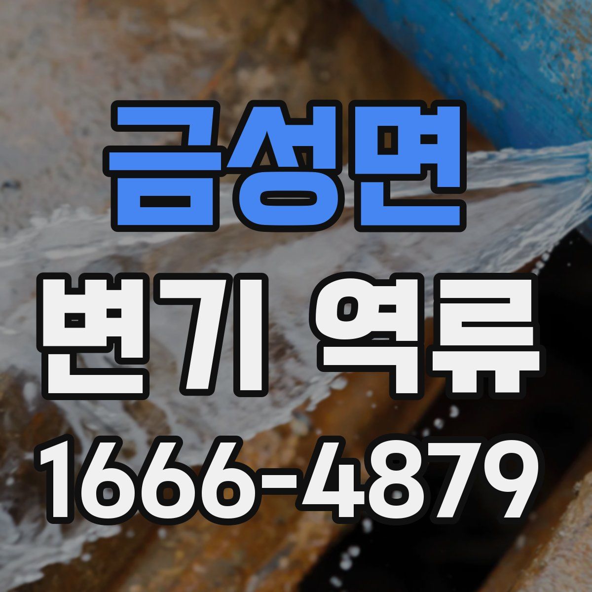금성면 변기 역류