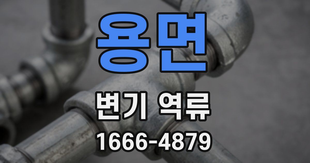 용면 변기 역류