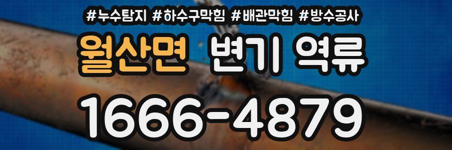 월산면 변기 역류