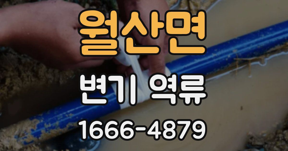 월산면 변기 역류