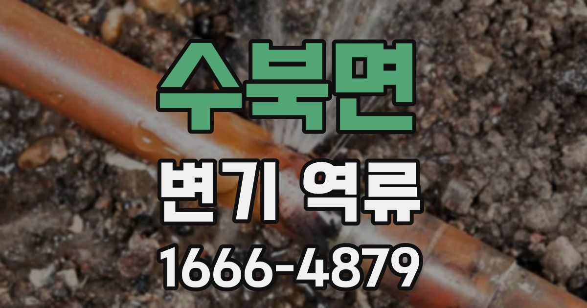 수북면 변기 역류
