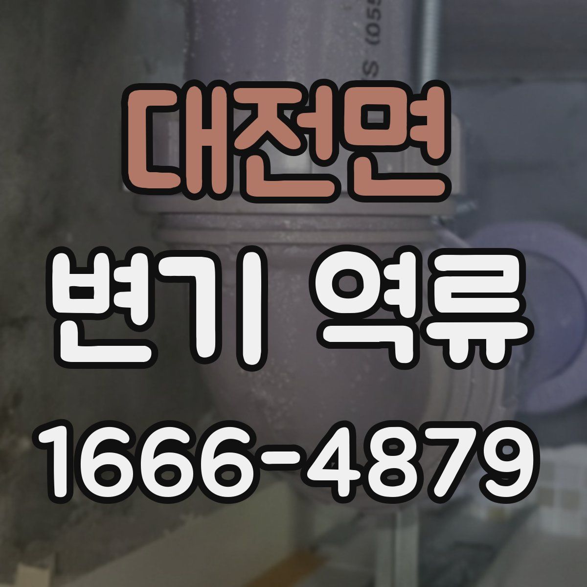 대전면 변기 역류
