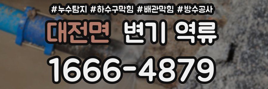 대전면 변기 역류