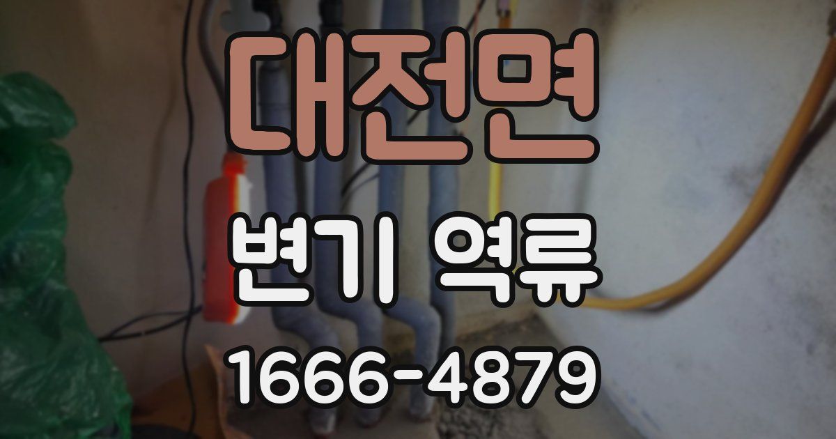 대전면 변기 역류