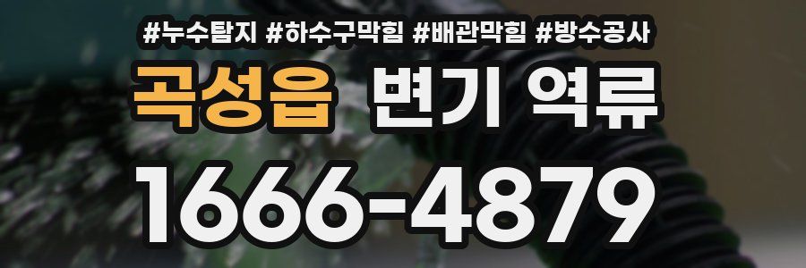 곡성읍 변기 역류