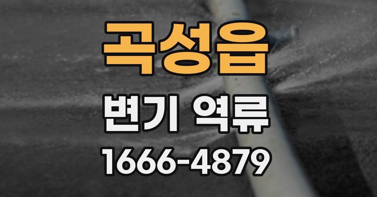 곡성읍 변기 역류