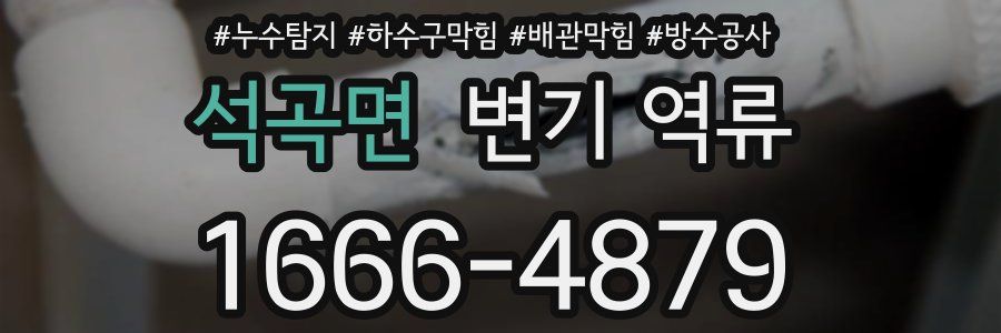 석곡면 변기 역류