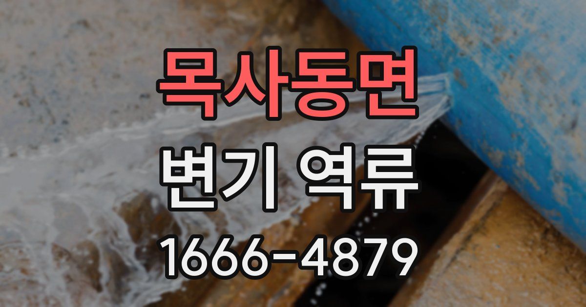 목사동면 변기 역류