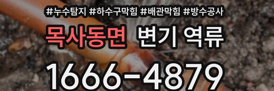 목사동면 변기 역류