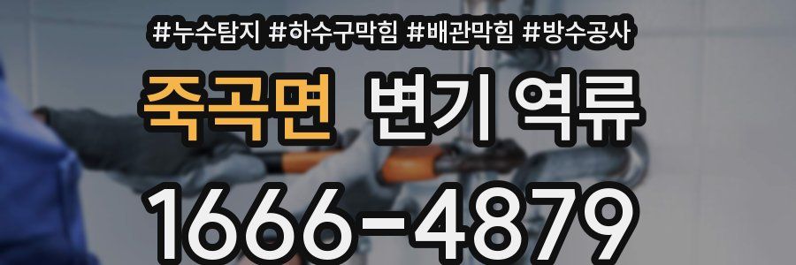 죽곡면 변기 역류