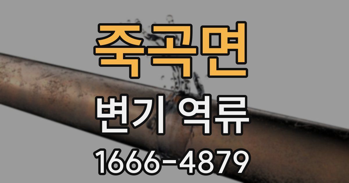 죽곡면 변기 역류