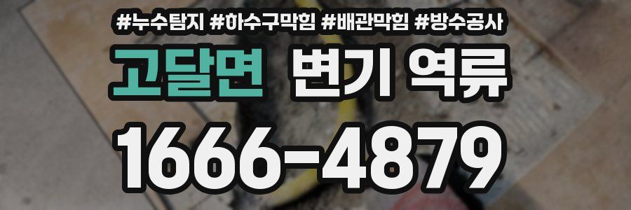 고달면 변기 역류