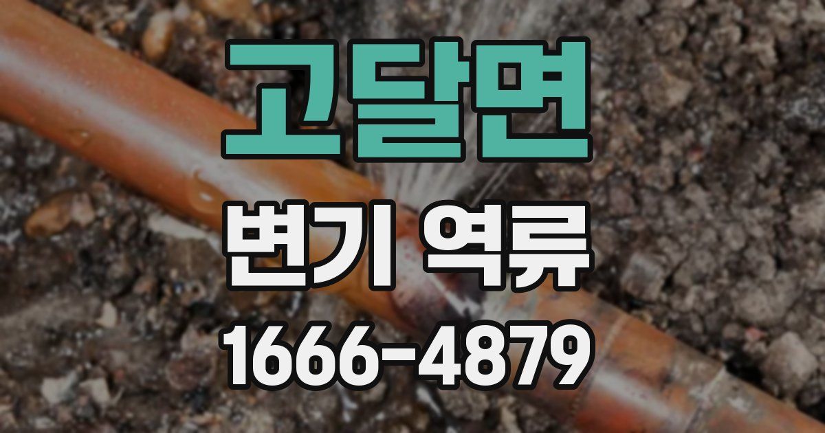 고달면 변기 역류