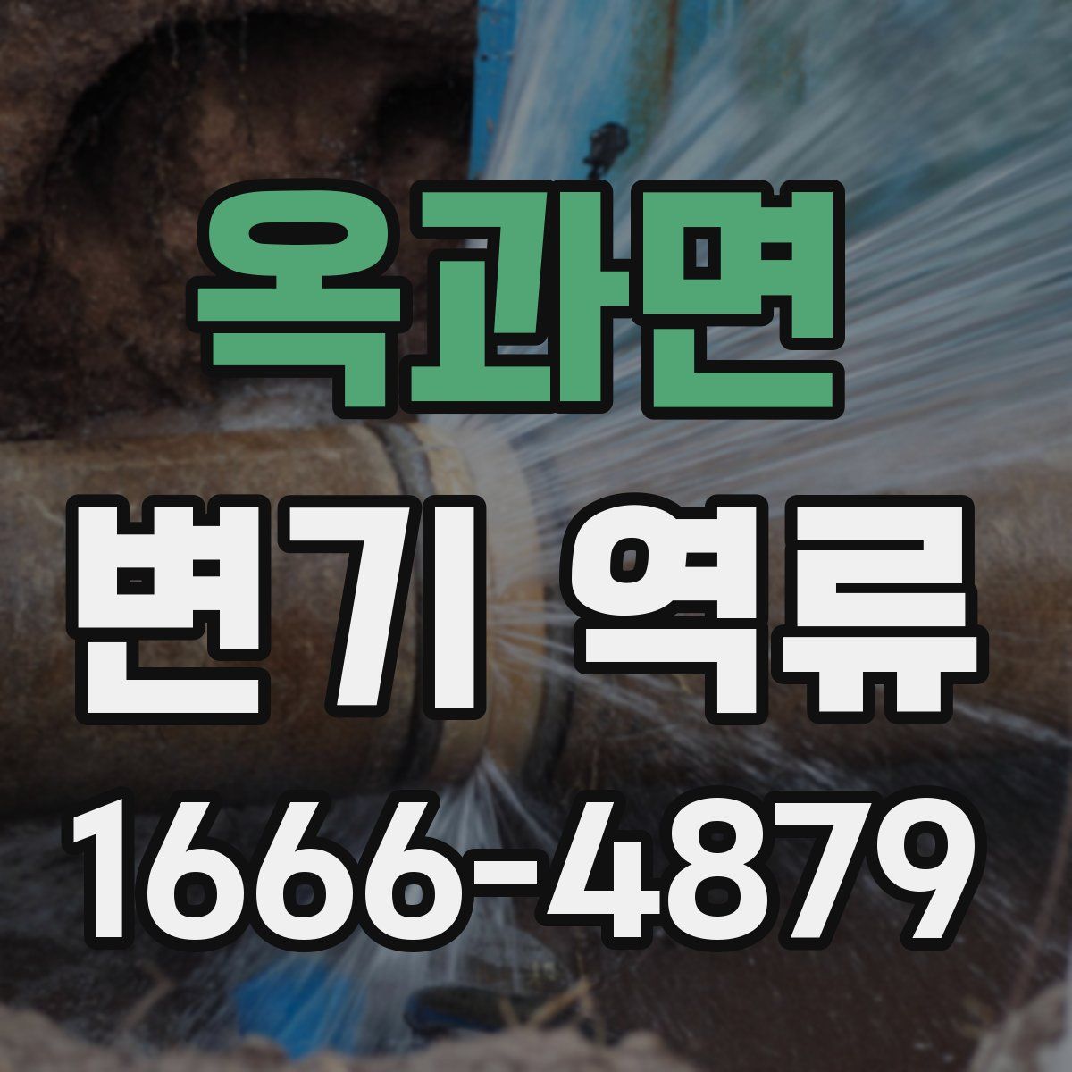 옥과면 변기 역류