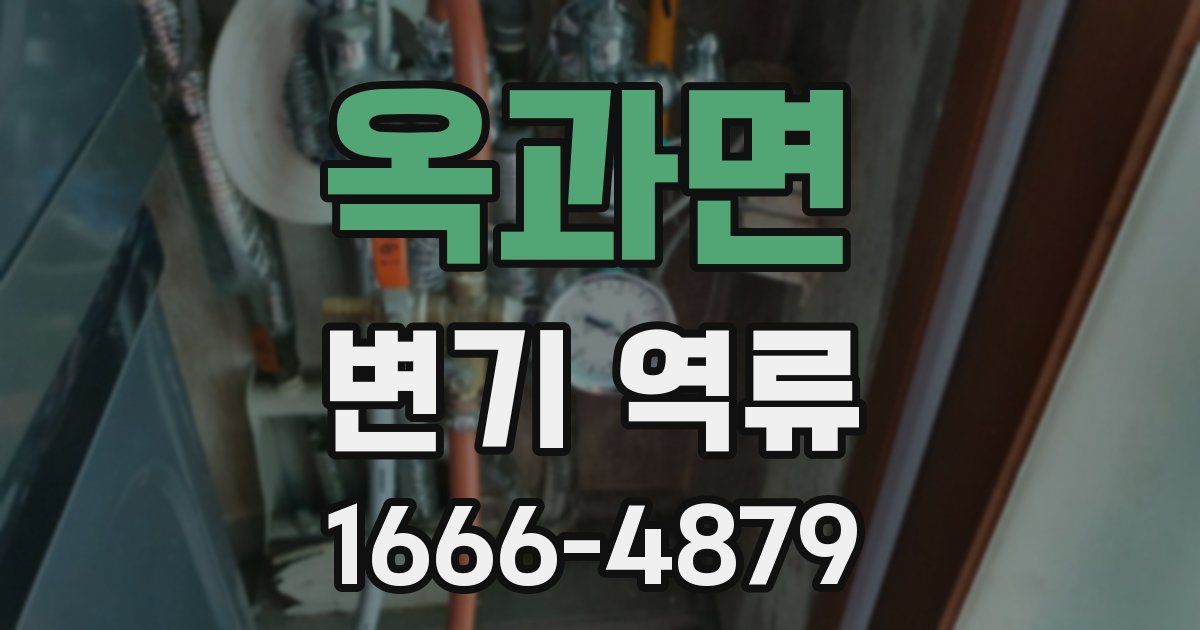 옥과면 변기 역류