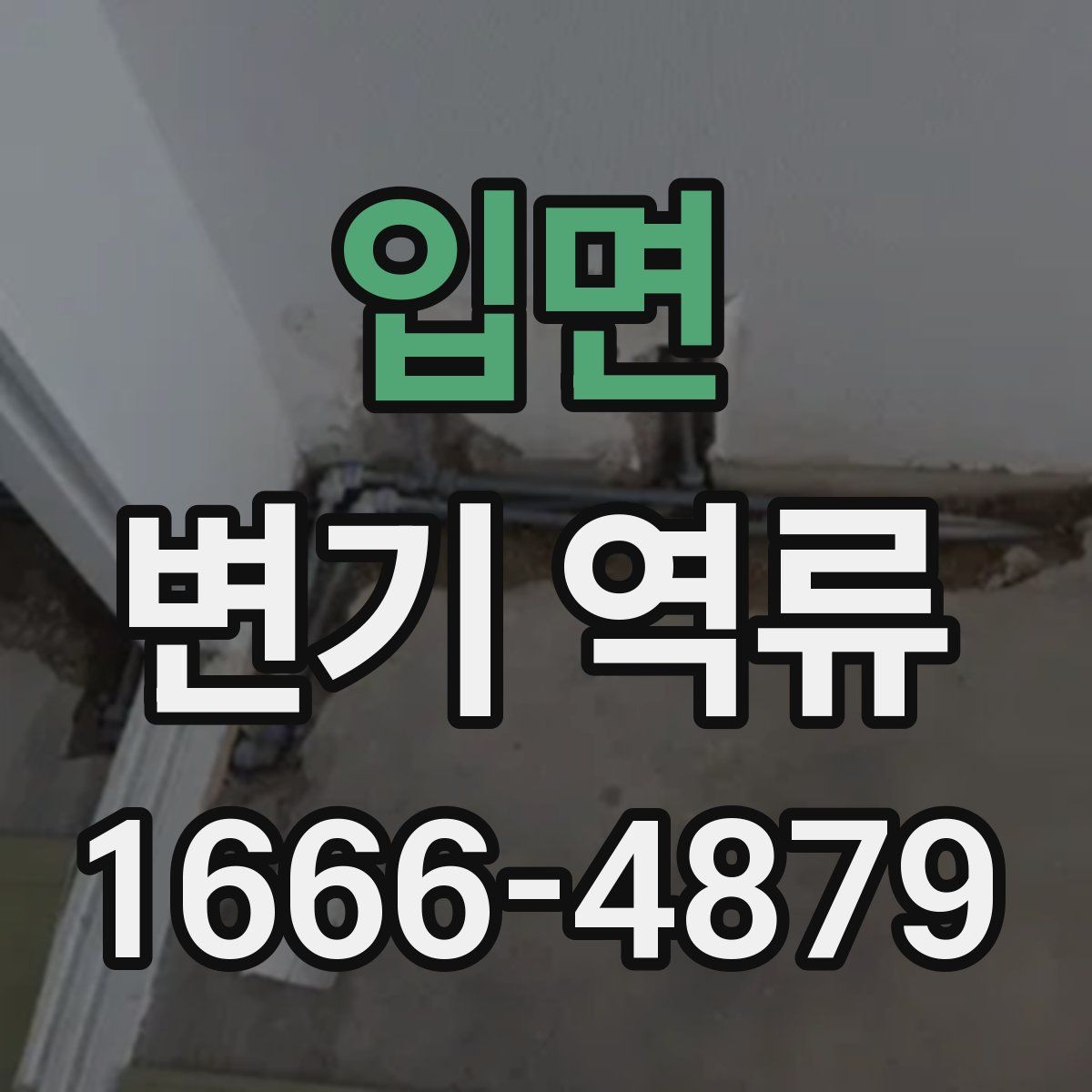 입면 변기 역류