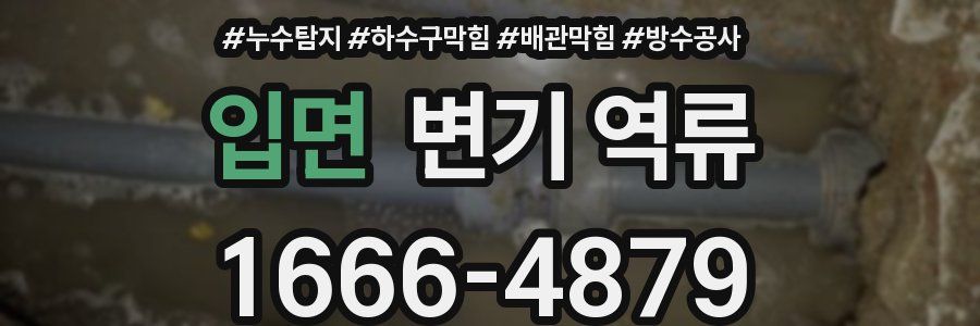 입면 변기 역류