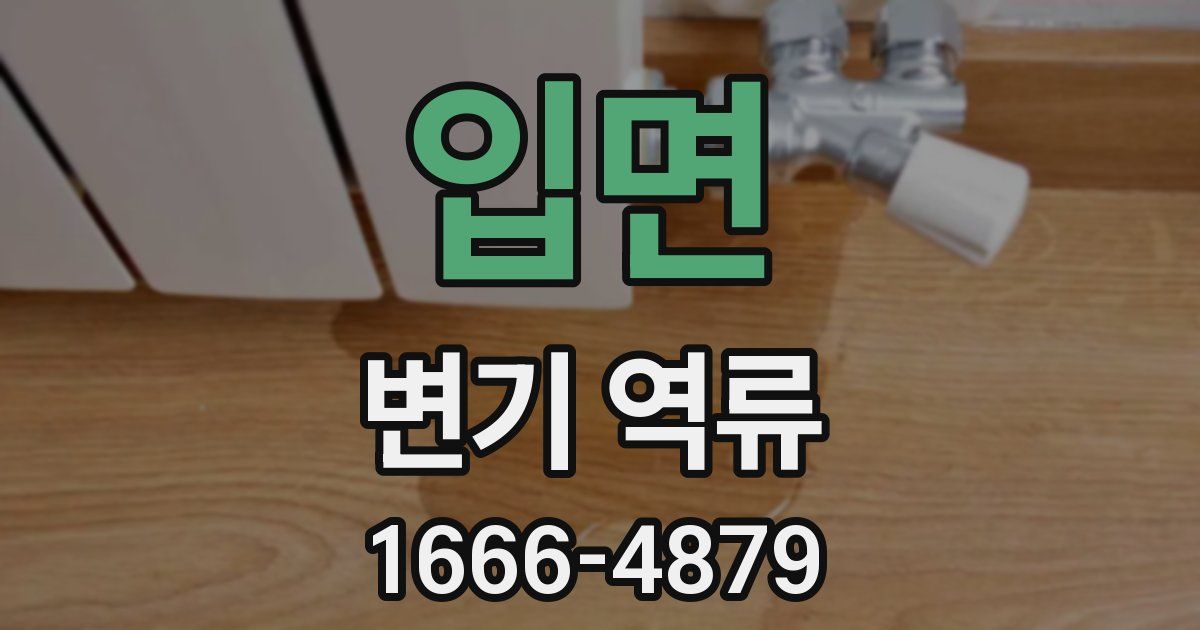 입면 변기 역류