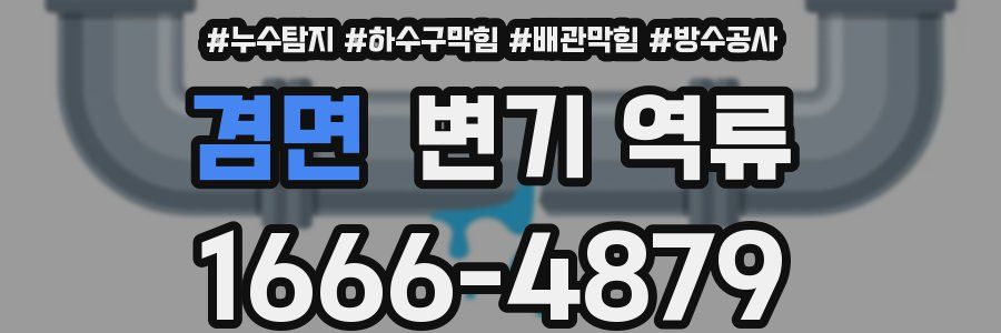 겸면 변기 역류