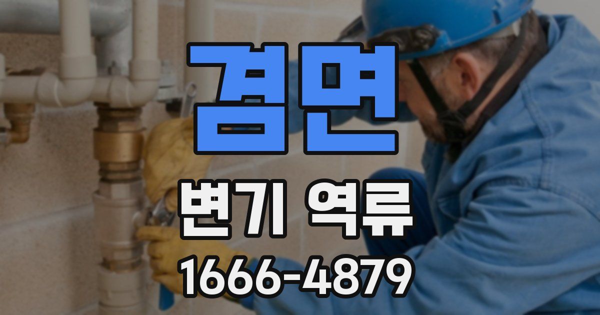겸면 변기 역류