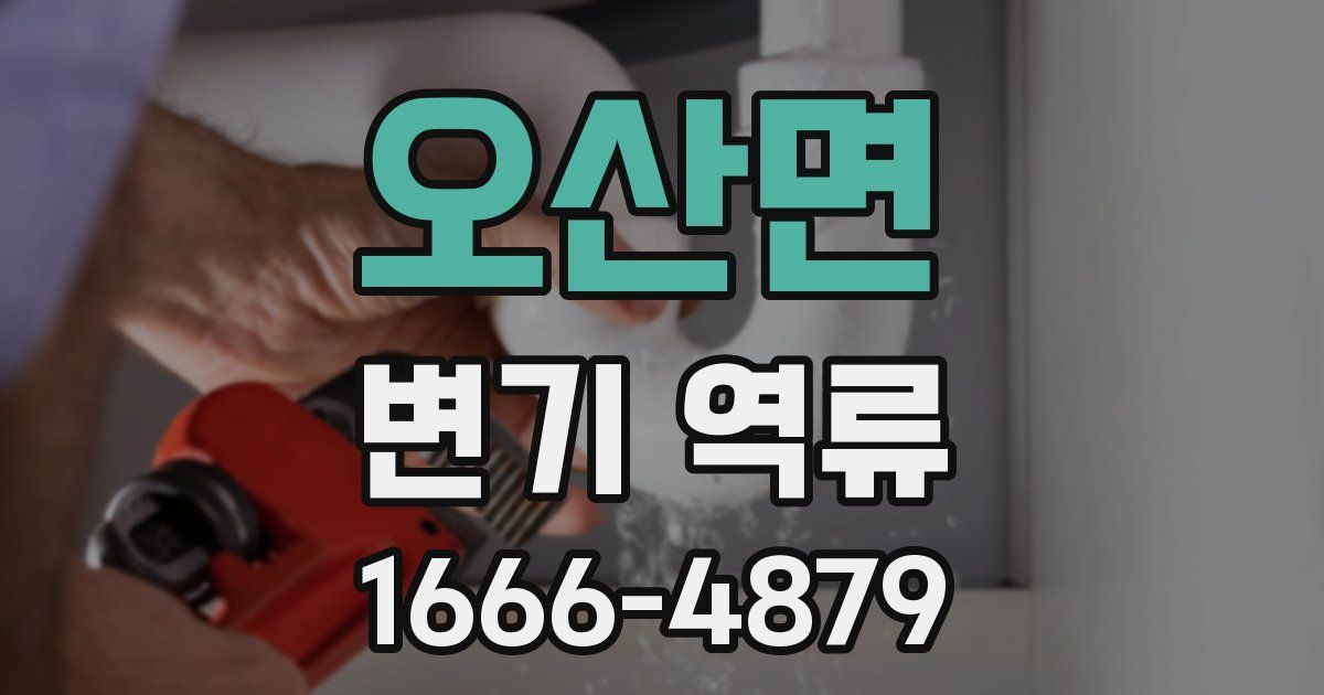 오산면 변기 역류