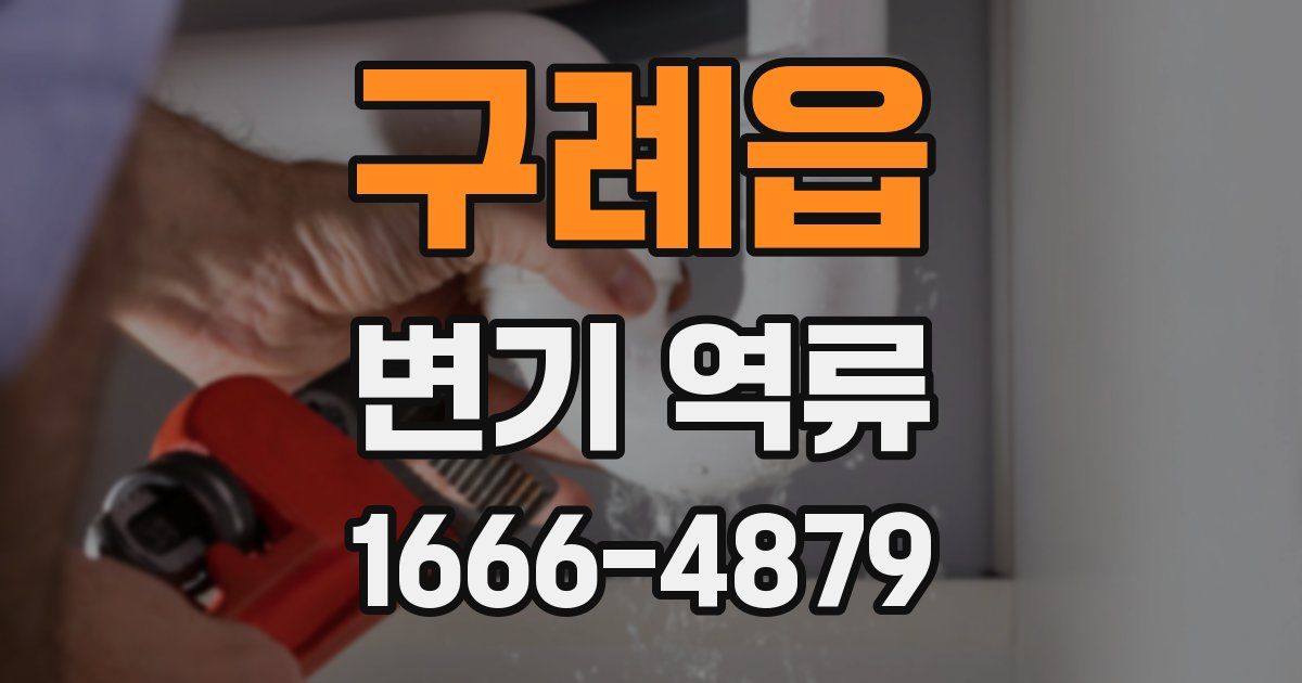 구례읍 변기 역류