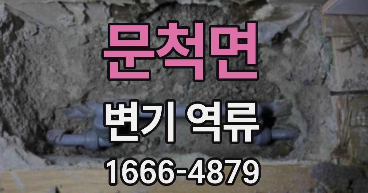 문척면 변기 역류