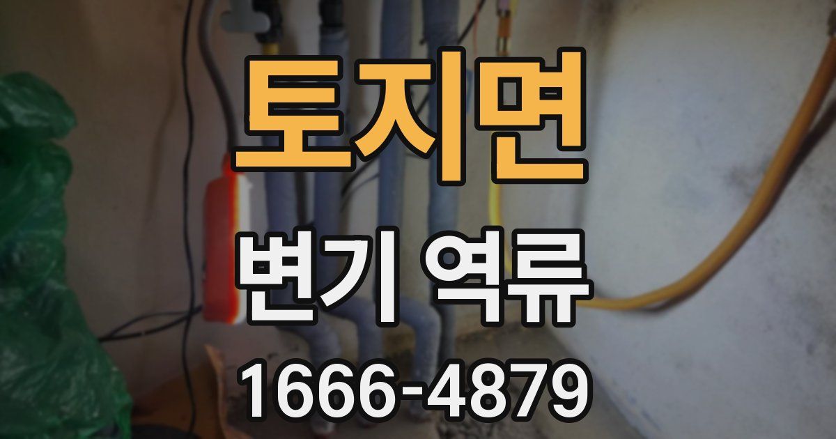 토지면 변기 역류