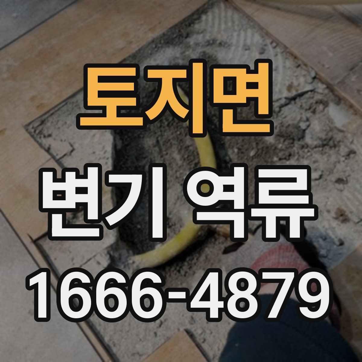 토지면 변기 역류