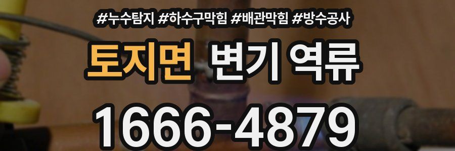토지면 변기 역류