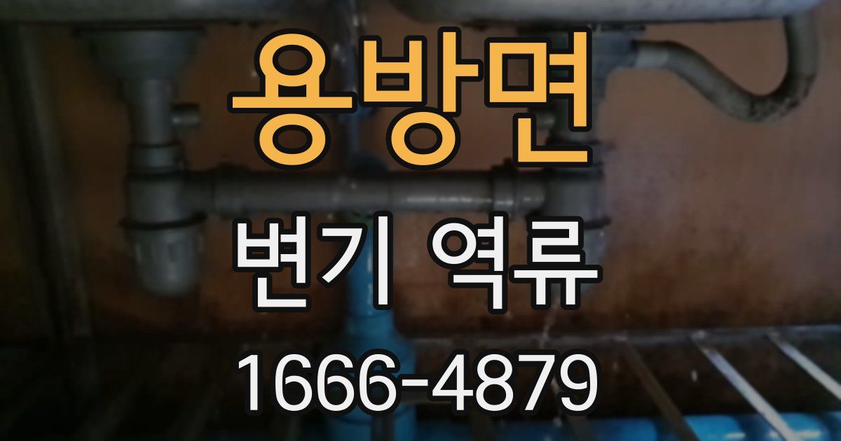용방면 변기 역류