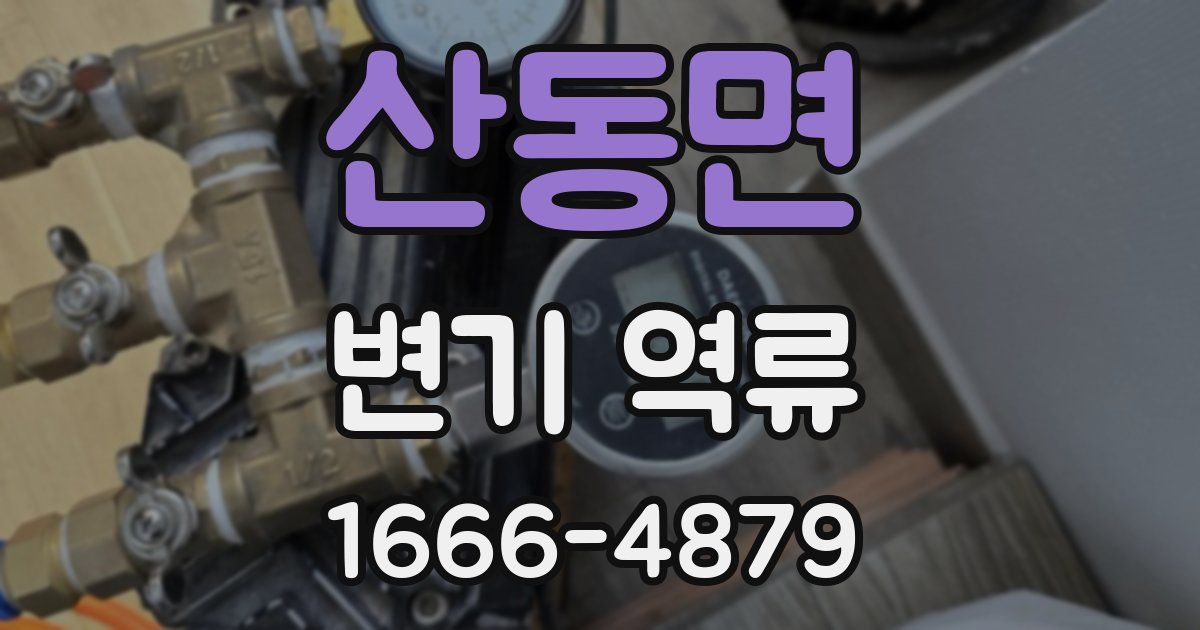 산동면 변기 역류