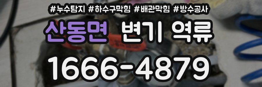 산동면 변기 역류
