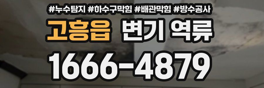 고흥읍 변기 역류
