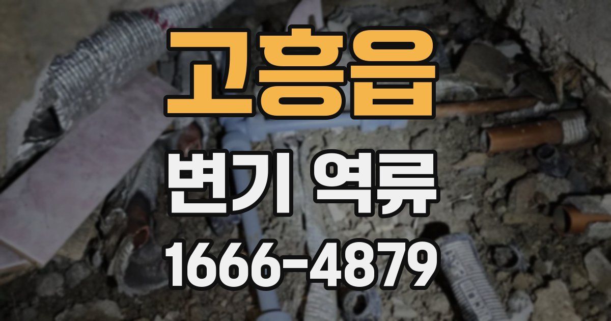 고흥읍 변기 역류