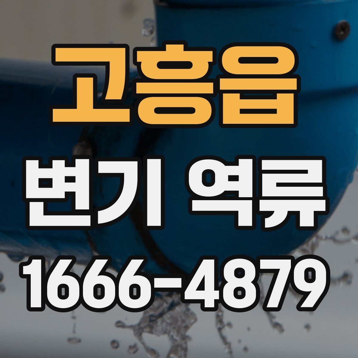 고흥읍 변기 역류