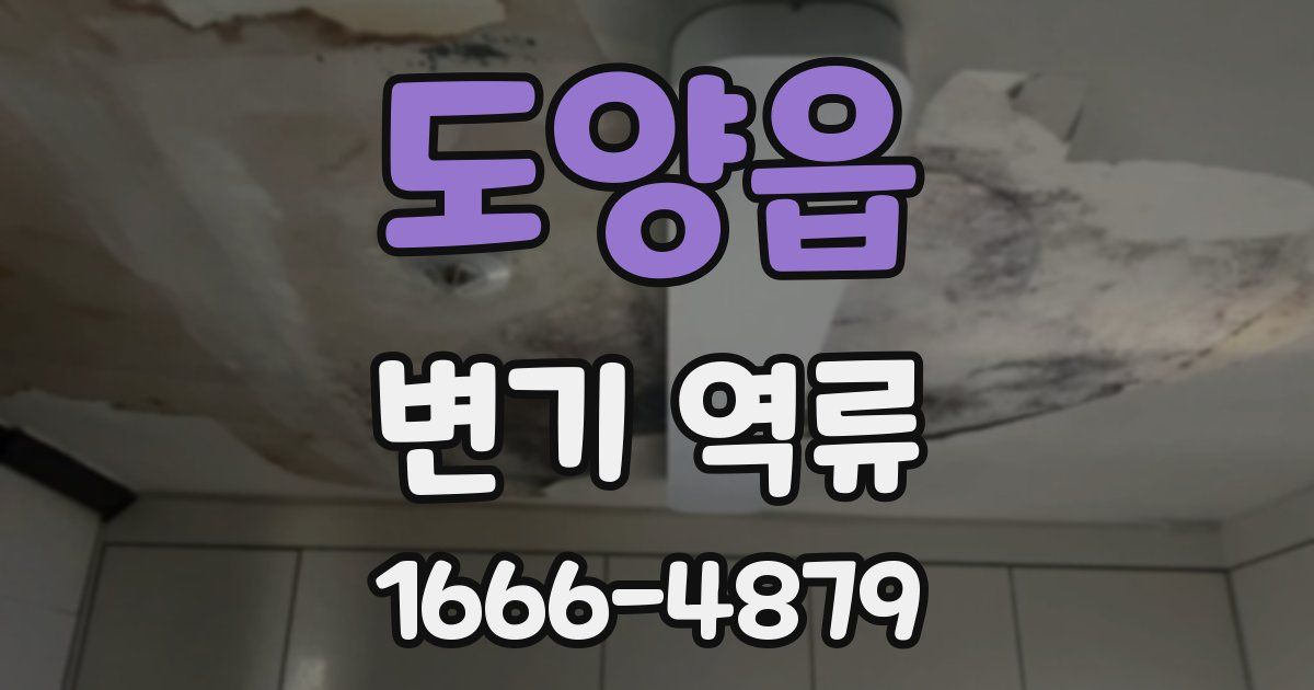 도양읍 변기 역류