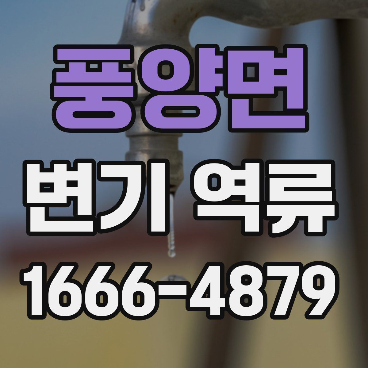 풍양면 변기 역류