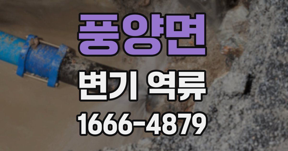 풍양면 변기 역류