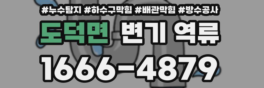도덕면 변기 역류