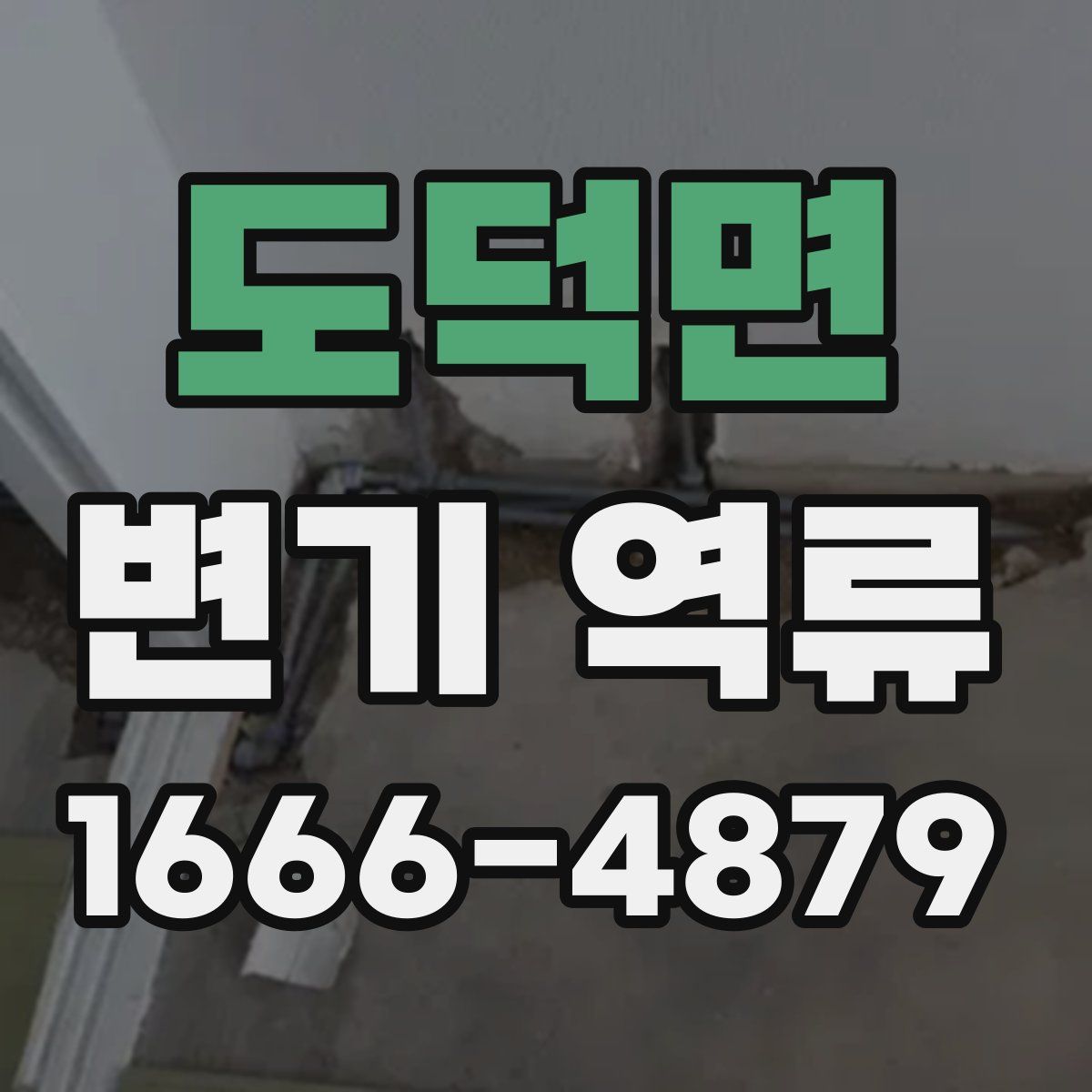 도덕면 변기 역류