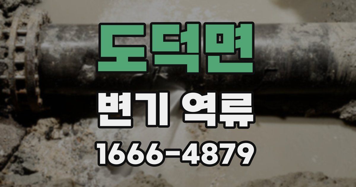 도덕면 변기 역류