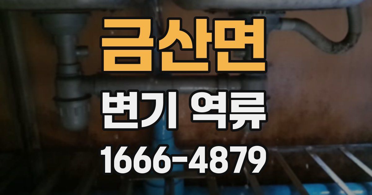 금산면 변기 역류