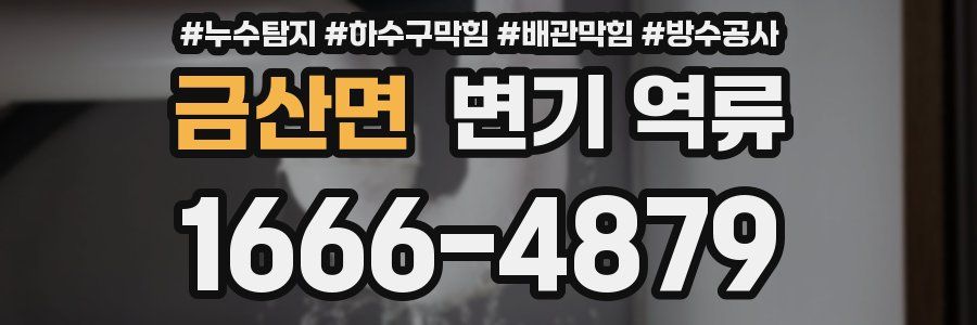 금산면 변기 역류