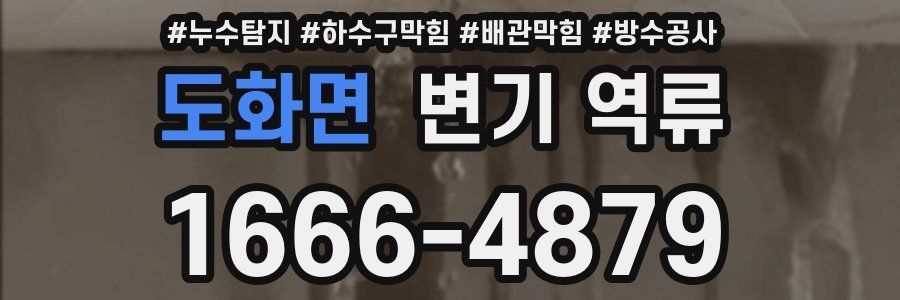 도화면 변기 역류