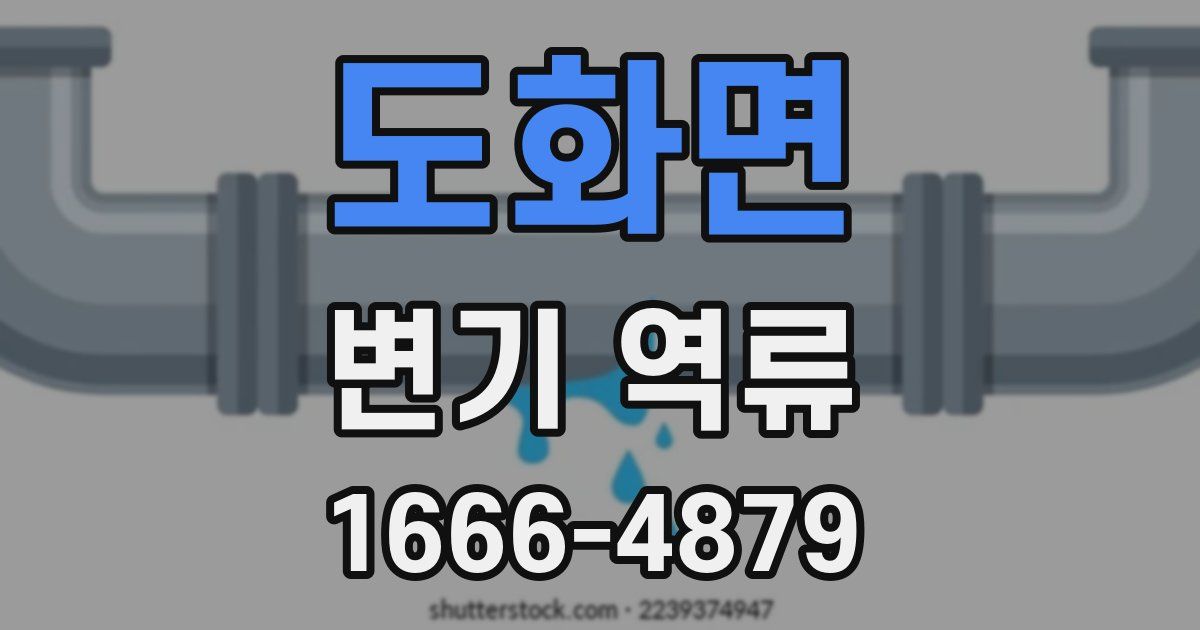 도화면 변기 역류