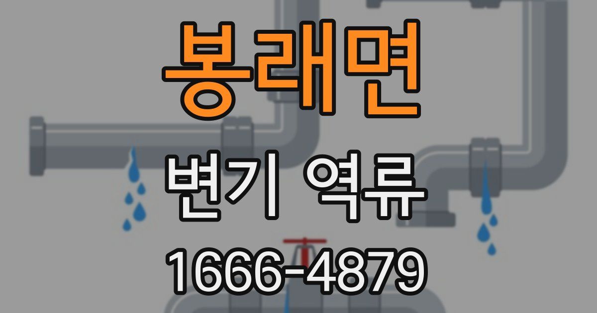 봉래면 변기 역류