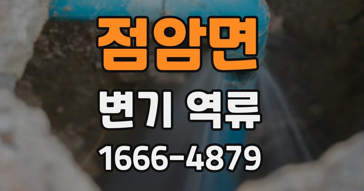 점암면 변기 역류